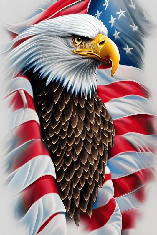 5D DIY Diamond Painting - Full Round / Square - Eagle & Flag