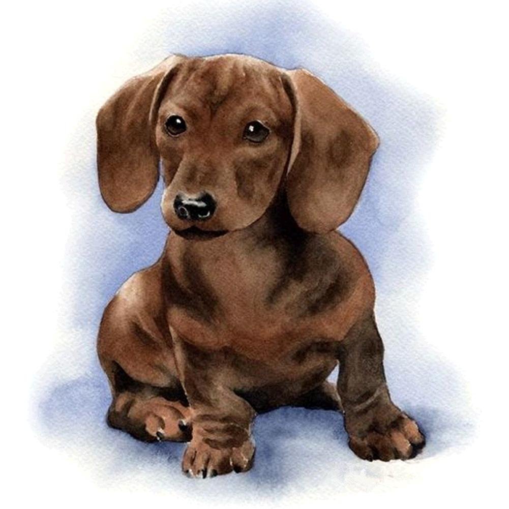 Diamond Painting - Full Round - Dog 1