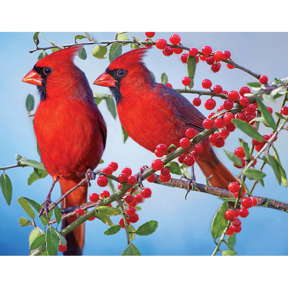 5D Diy Diamond Painting Kit Full Round Beads Red Birds