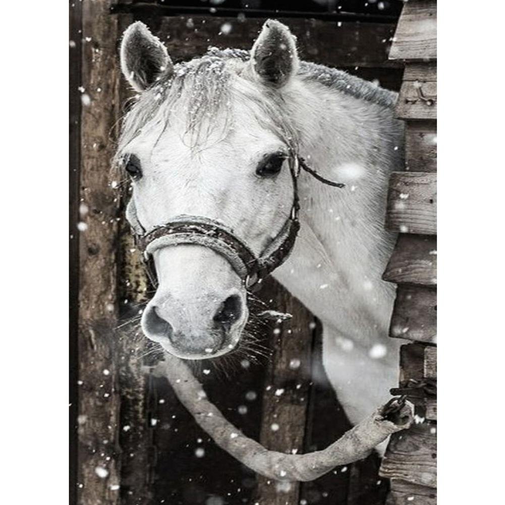 5D Diy Diamond Painting Kit Full Round Beads Horse