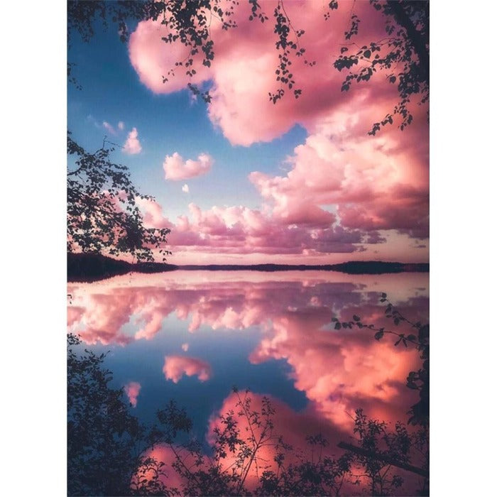 Painting By Numbers Kit Pink Cloud Oil Art Picture Craft Home Wall Decor