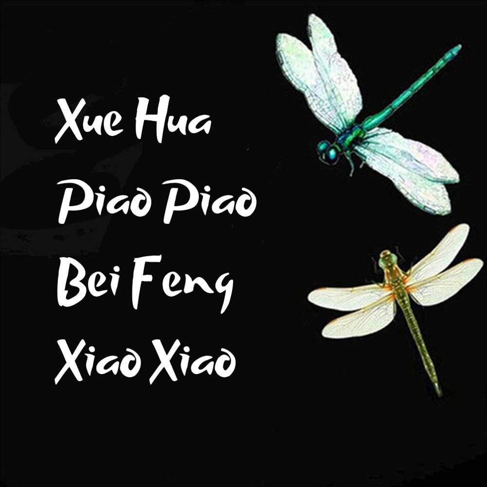 XUE HUA PIAO PIAO Full Round Beads Painting Kit