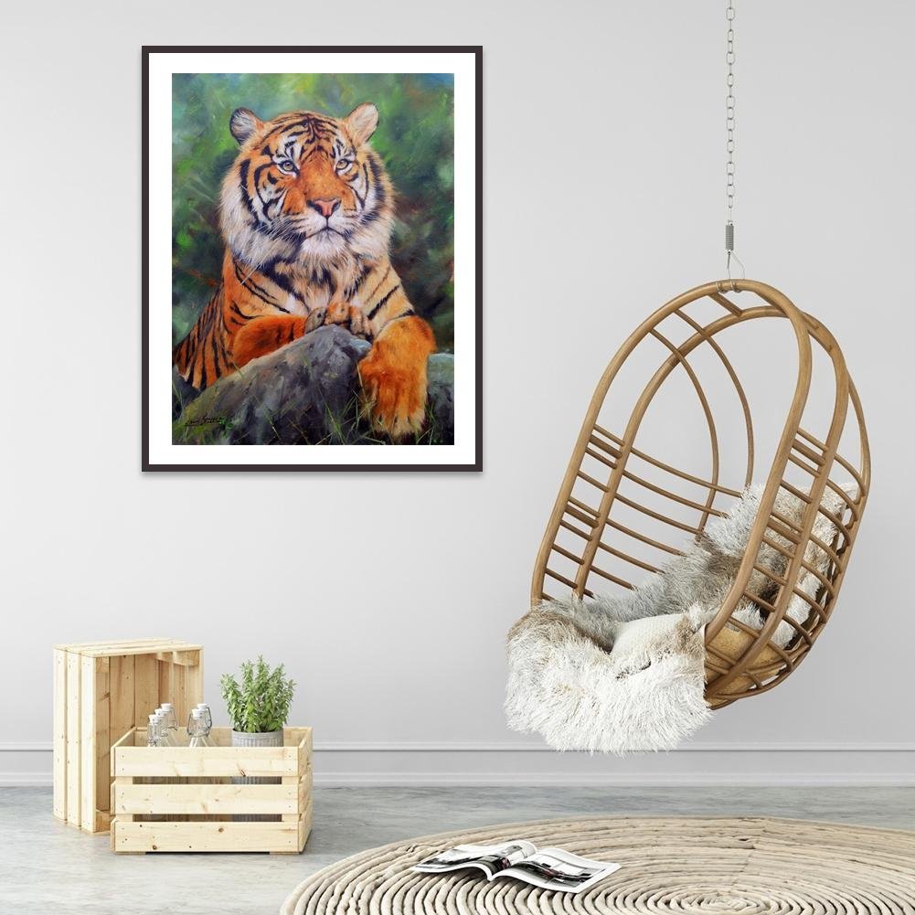 Pintura Diamante - Rodada Completa - Tigre H