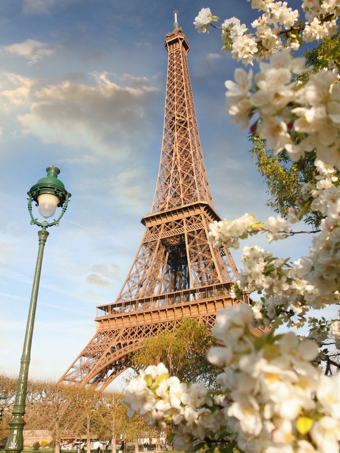 Diamond Painting Art Eiffel Tower and white flowers