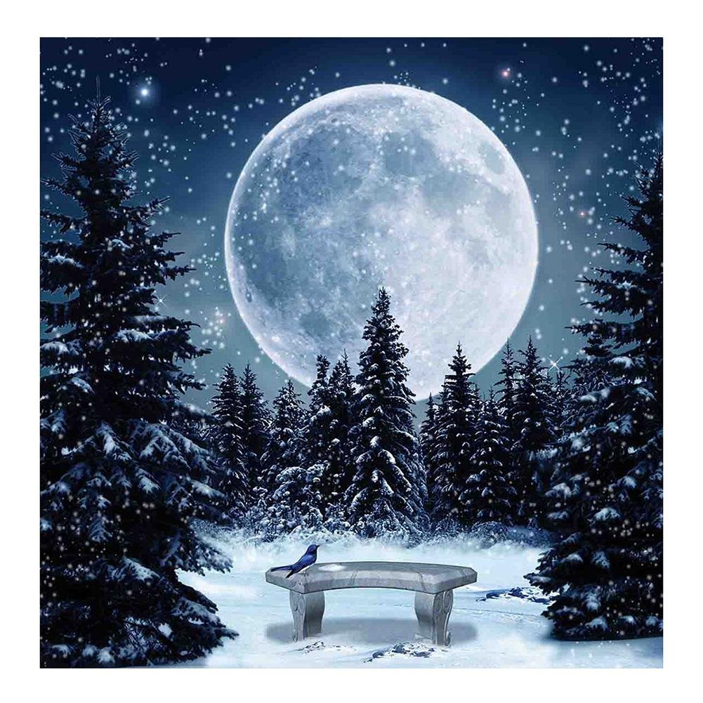 Diamond Painting - Full Round - Full Moon 1