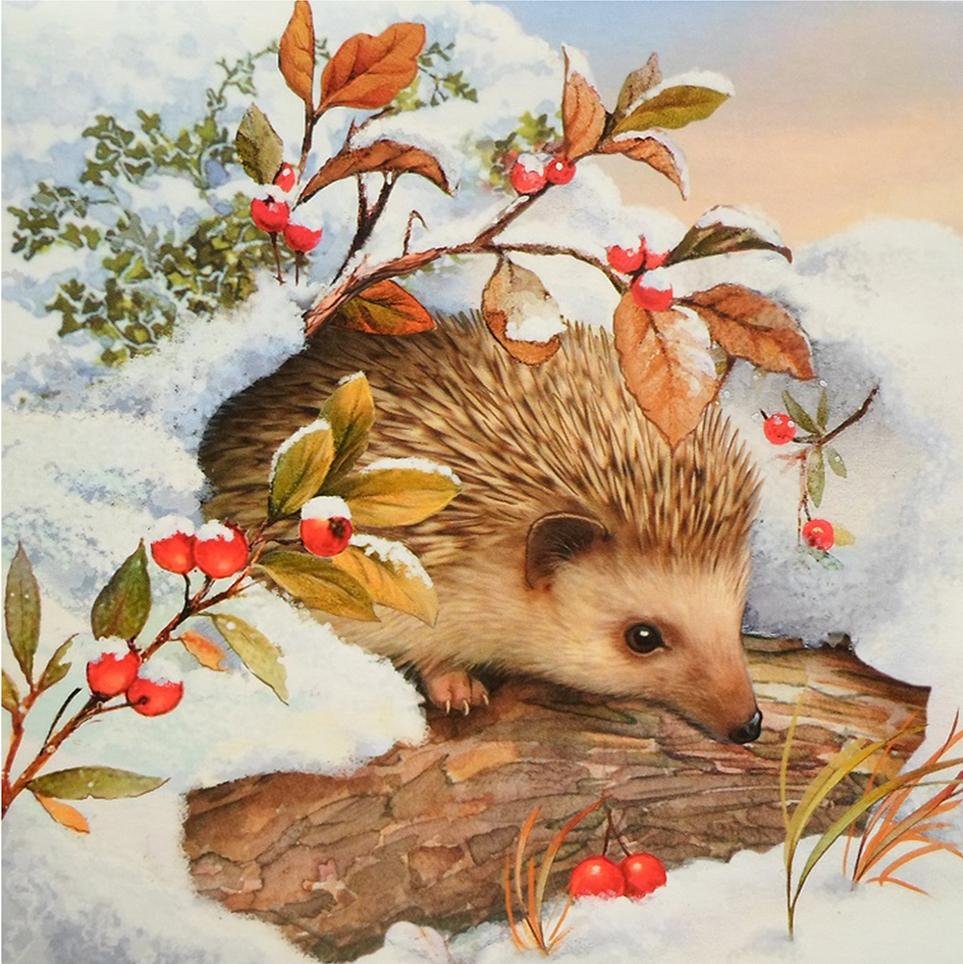 5D Diy Diamond Painting Kit Full Round Beads Snow Hedgehog