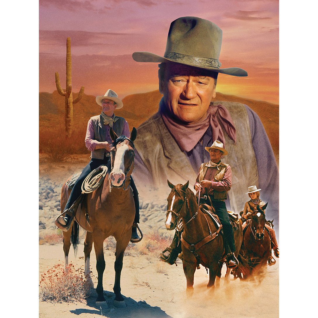 Diamond Paintings Art Full Drill Cowboy