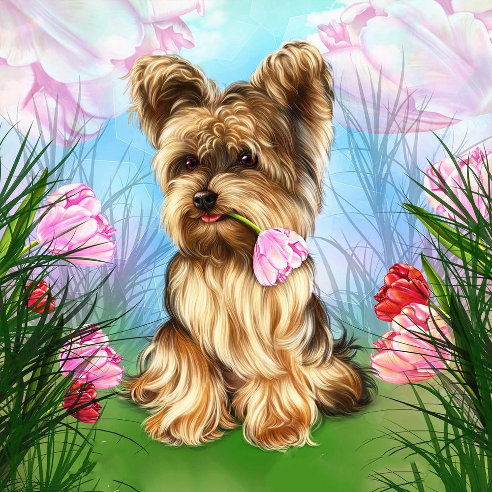 Diamond Paintings Art Full Drill Dog