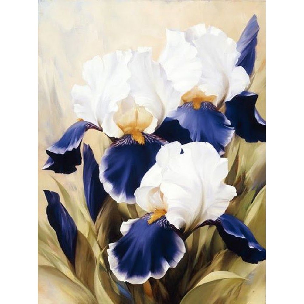 5D Diy Diamond Painting Kit Full Round Beads White Flower
