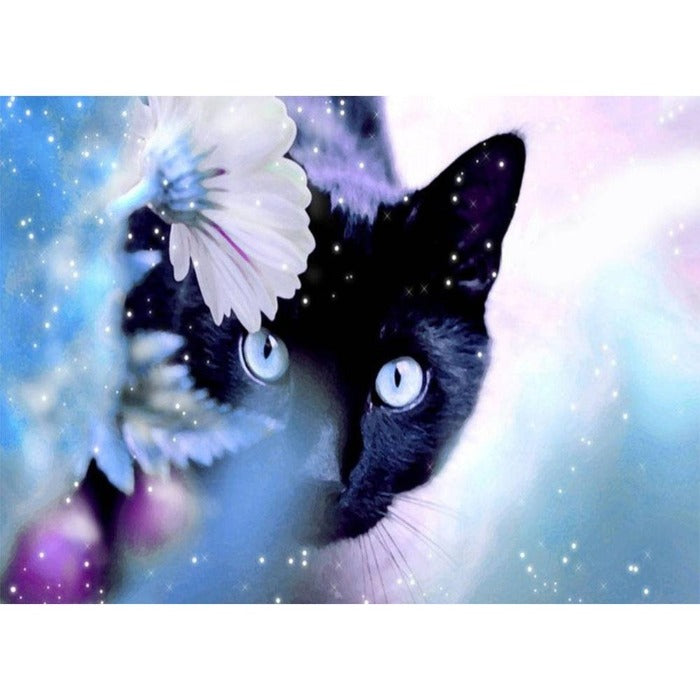Painting By Numbers Kit Black Cat Hand Painted Oil Art Picture