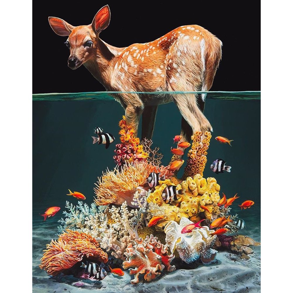 Diamond Paintings Art Full Drill Animal & Plants
