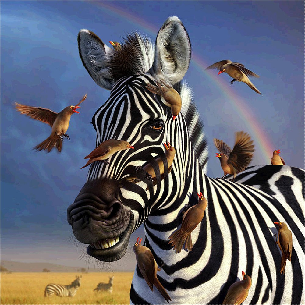 Diamond Painting - Full Round - Zebra