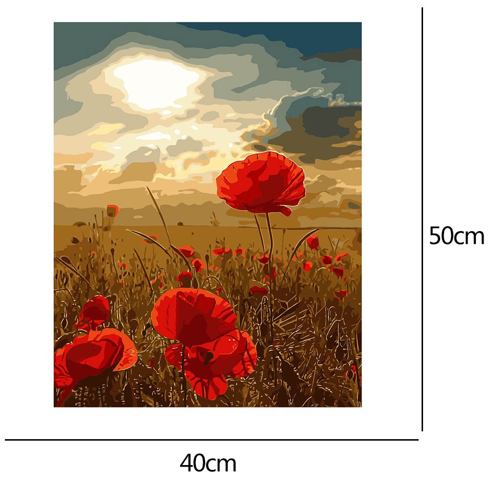 Paint By Number - Oil Painting - Flower (40*50cm)