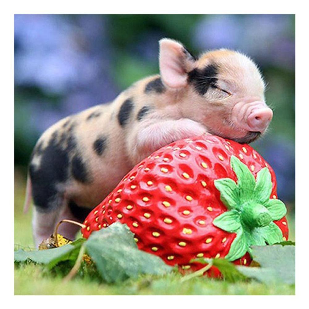 5D Diy Diamond Beads Art Full Square Resin Cute Pig