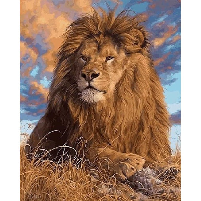 Oil Painting By Numbers Grassland Lion Hand Painted Canvas Picture