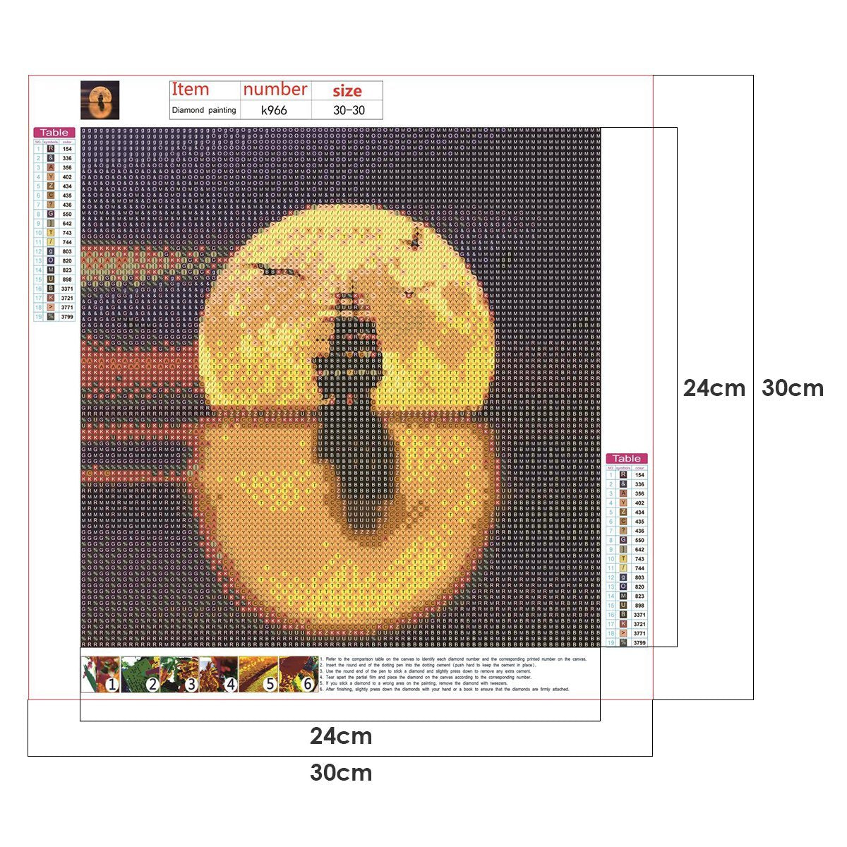 Diamond Painting - Full Round - Moon Ship