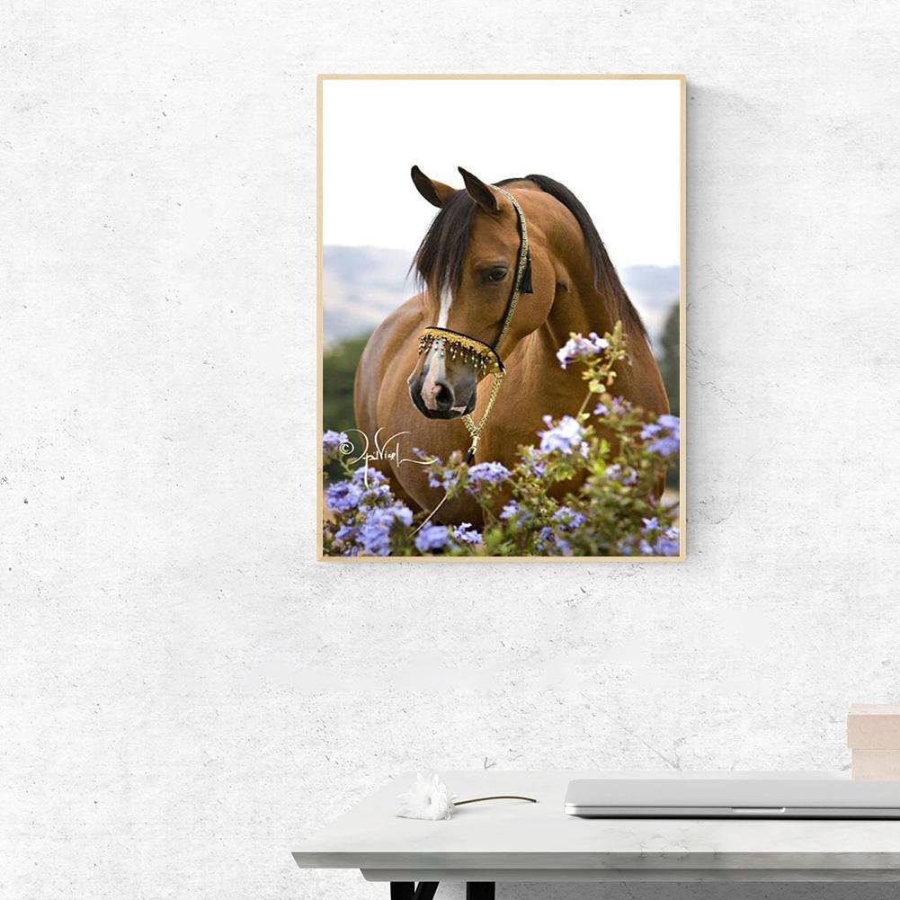 Pintura Diamante - Rodada Completa - Silêncio Cavalo Flores