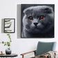 5D DIY Diamond Painting Kit - Full Square - Grey Cat