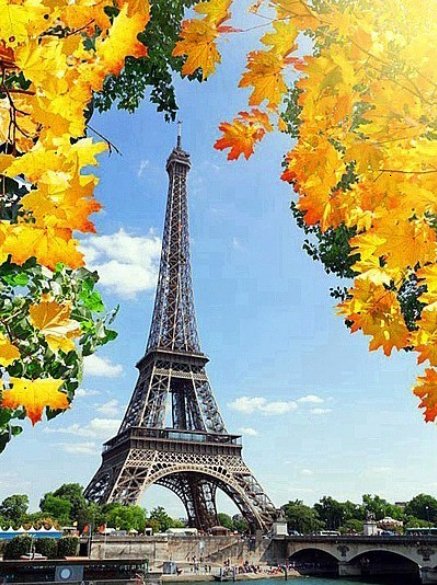 Eiffel tower and maple leaves diamond painting
