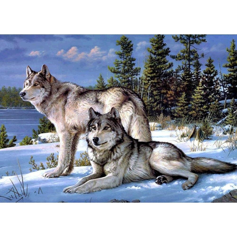 5D Diy Diamond Painting Kit Full Round Beads Snow Forest Wolves