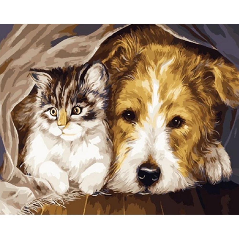 Paint By Number Oil Painting Staying Dog Cat (40*50cm)