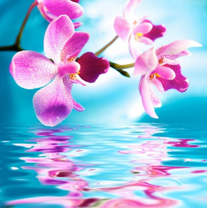 Diamond Painting - Full Round - Flower 5