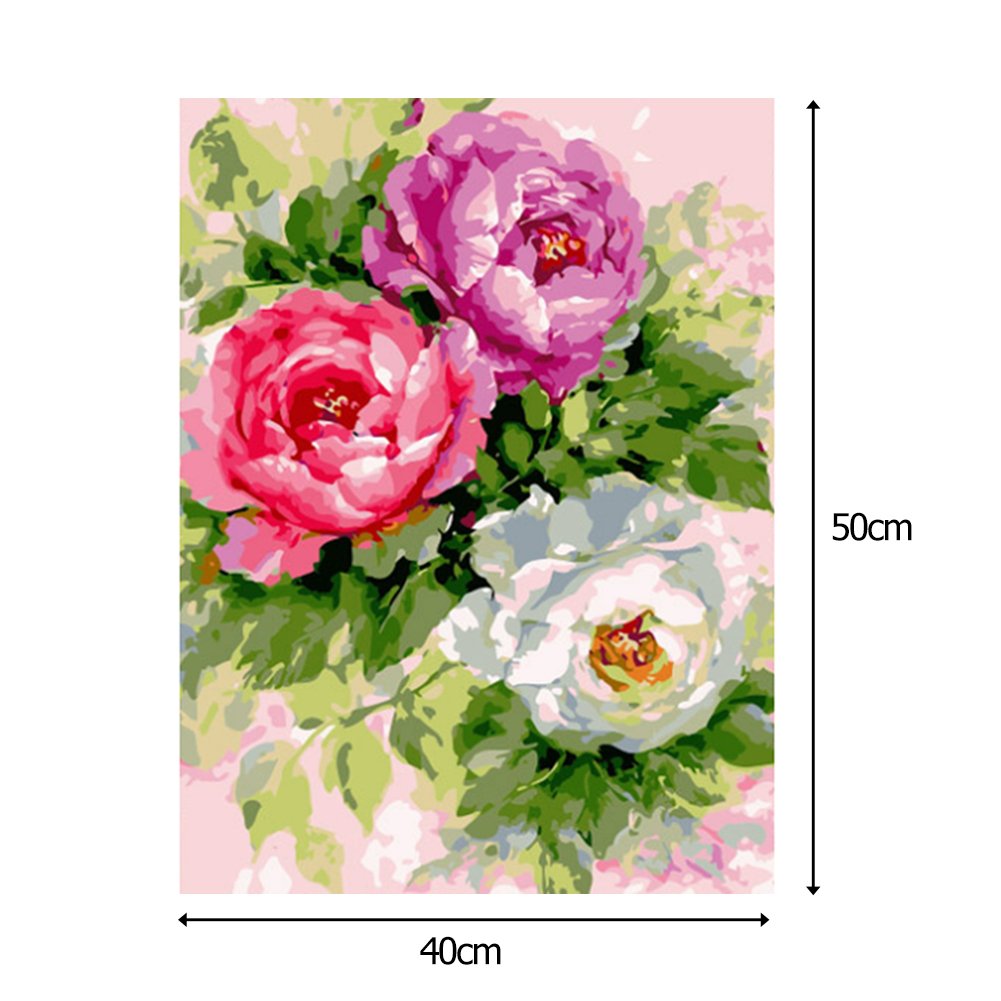 Paint By Number - Oil Painting - Three Flowers (40*50cm)