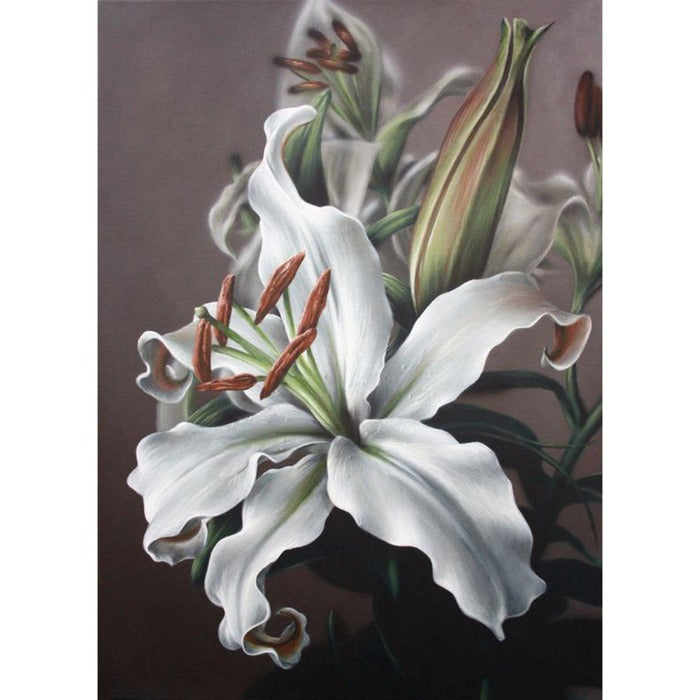 Special Flower 40x50cm Oil Paint By Numbers Picture DIY Painting