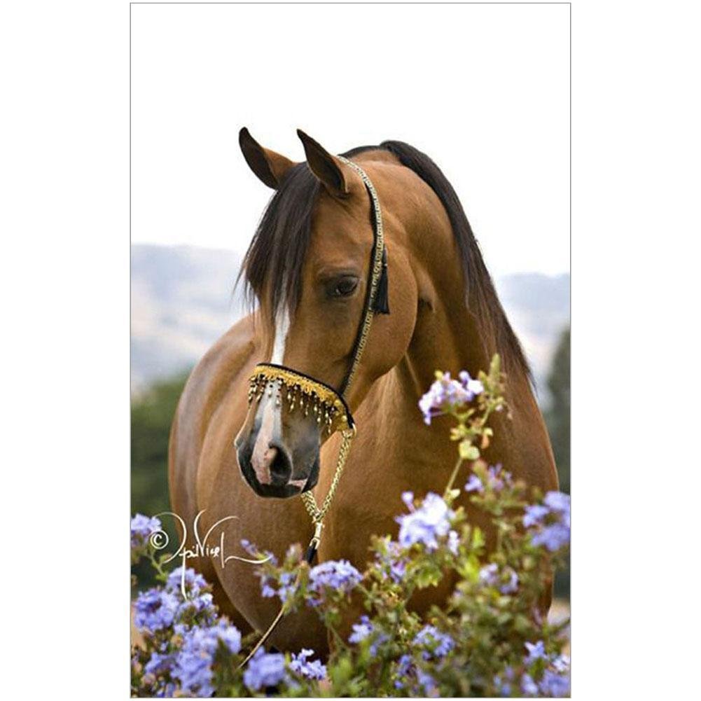 5D Diy Diamond Painting Kit Full Round Beads Silence Horse Flowers