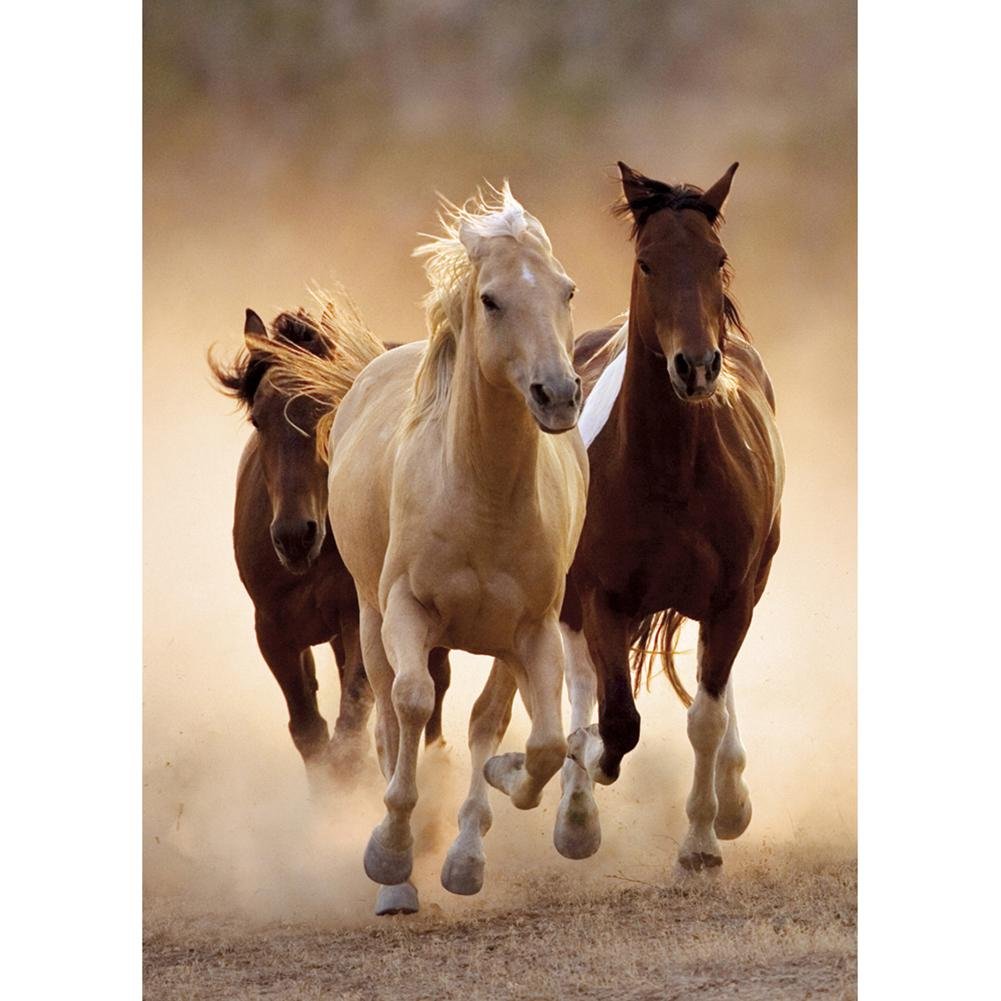 5D Diy Diamond Painting Kit Full Round Beads Horses