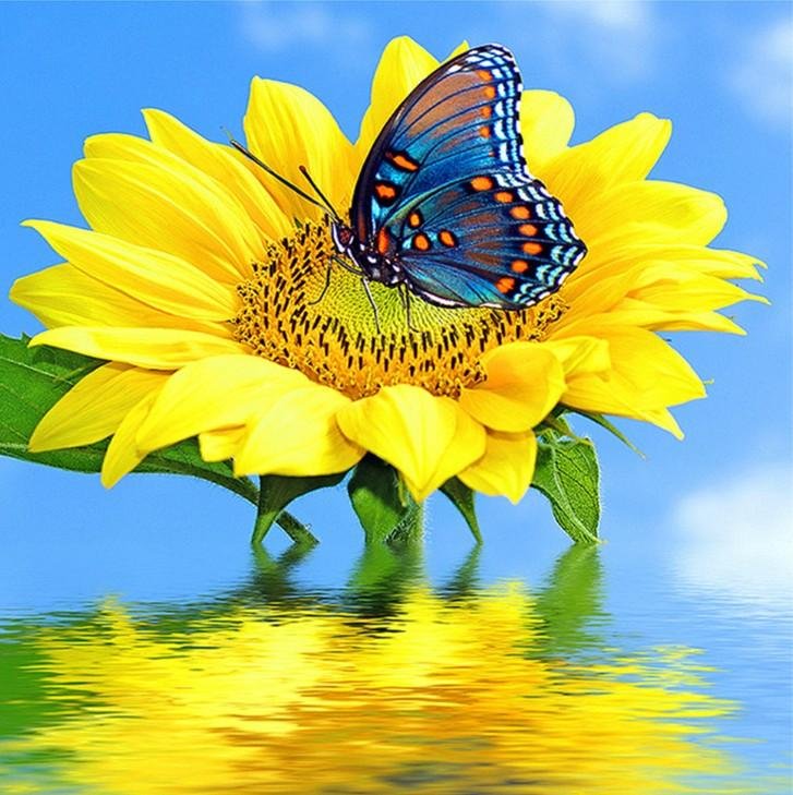 Diamond Painting - Full Round - Sunflower B