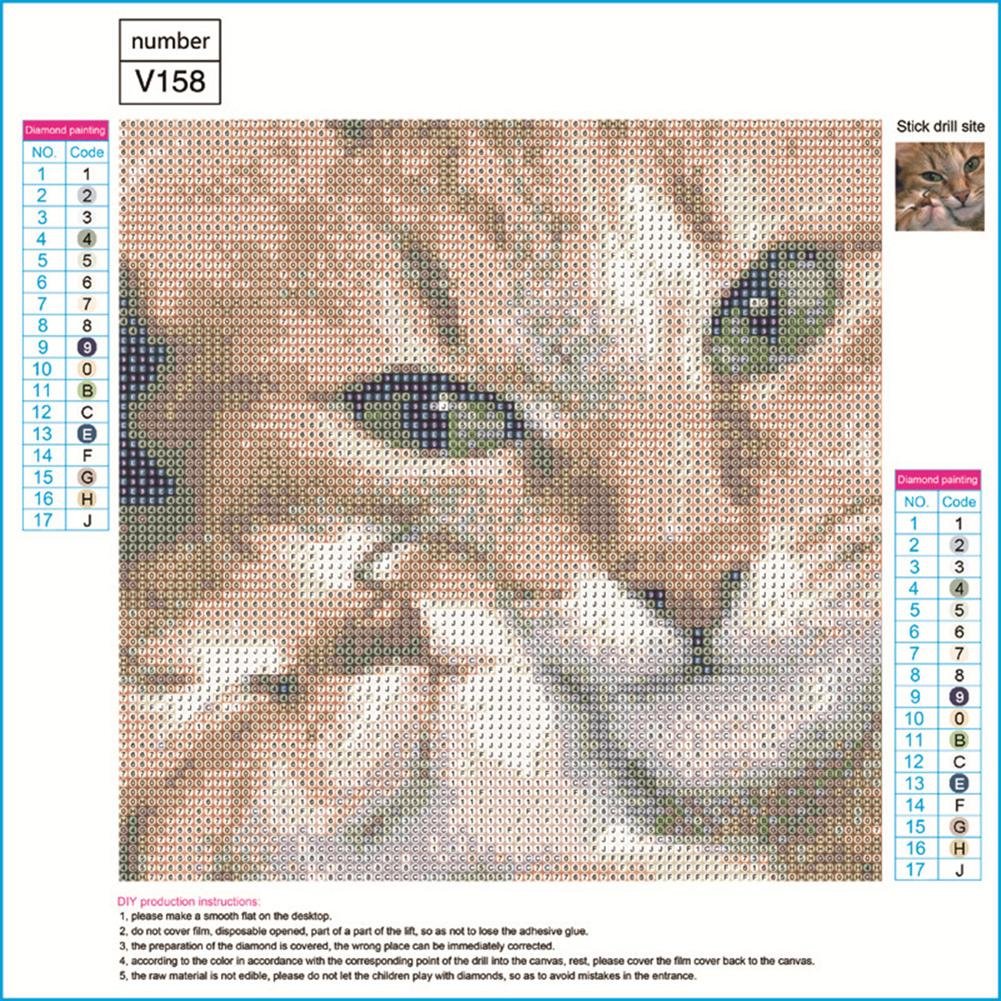 5D DIY Diamond Painting Kit - Full Round - Cute Cat B