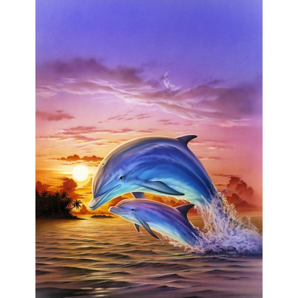 5D Diy Diamond Painting Kit Full Round Beads Dolphin
