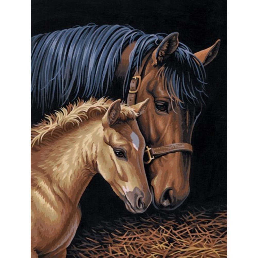 5D Diy Diamond Painting Kit Full Round Beads Horse