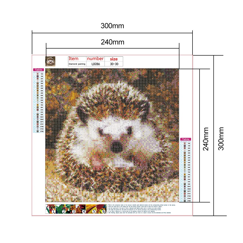 Diamond Painting - Full Round - Hedgehog