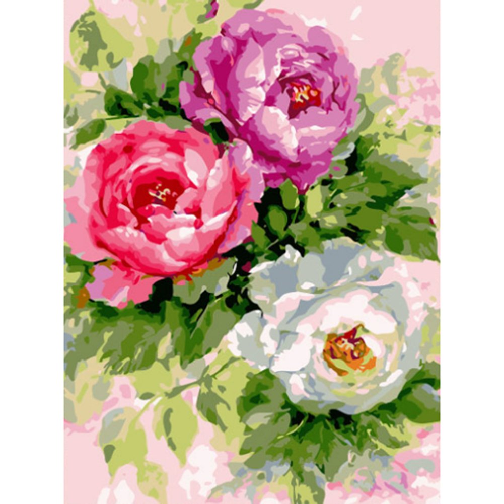 Paint By Number Oil Painting Three Flowers (40*50cm)
