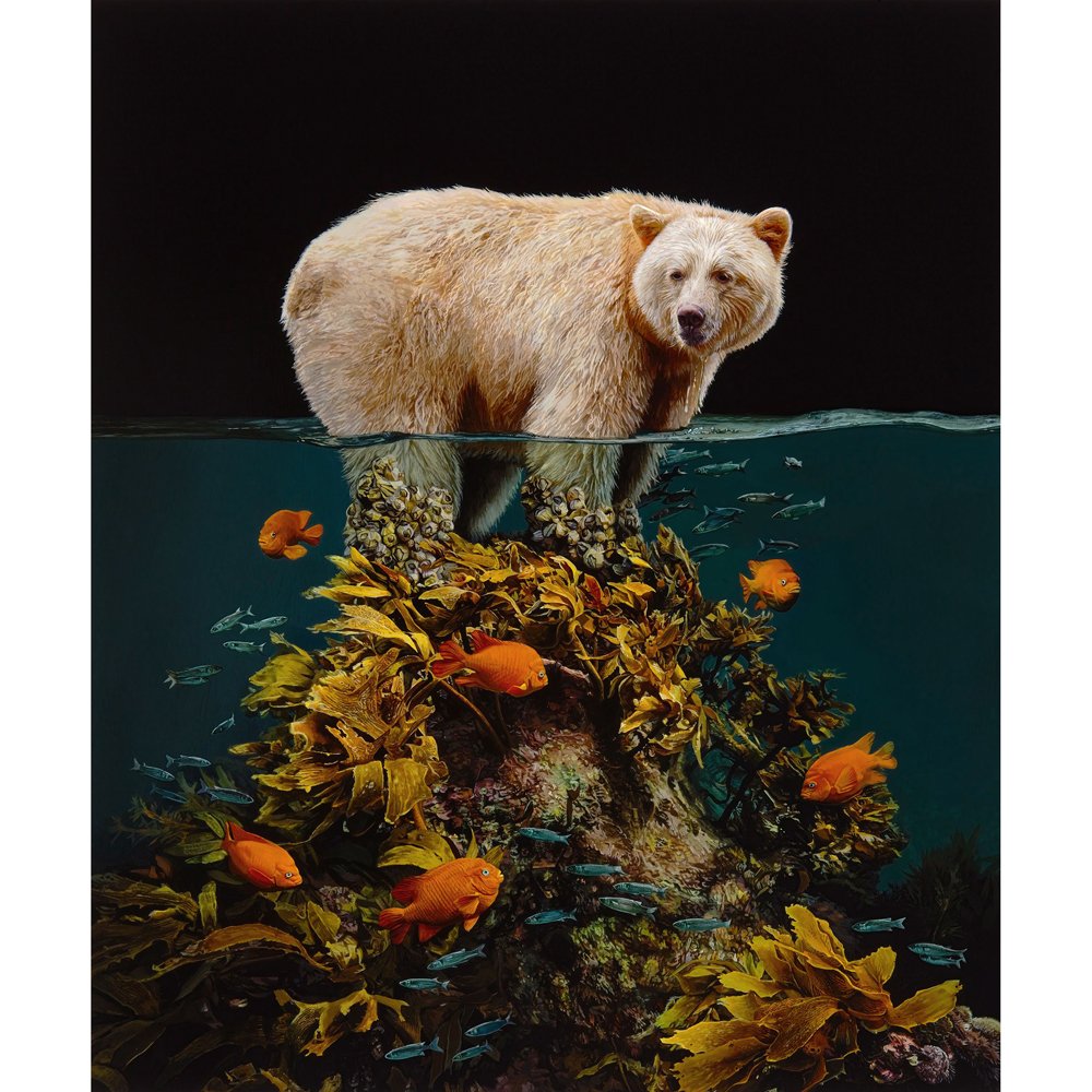Diamond Paintings Art Full Drill Animal & Plants