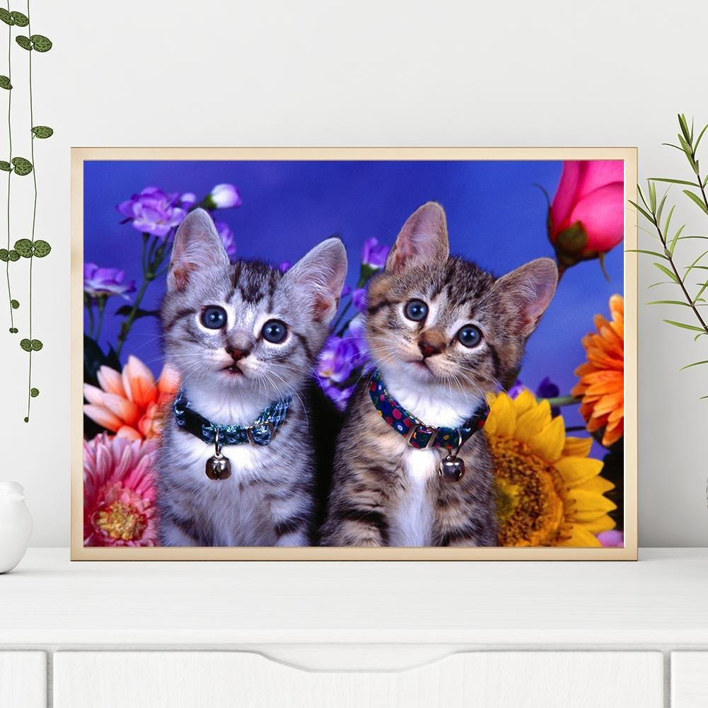 Kit de pintura de diamante DIY 5D - redondo completo - dois gatos/gatinhos