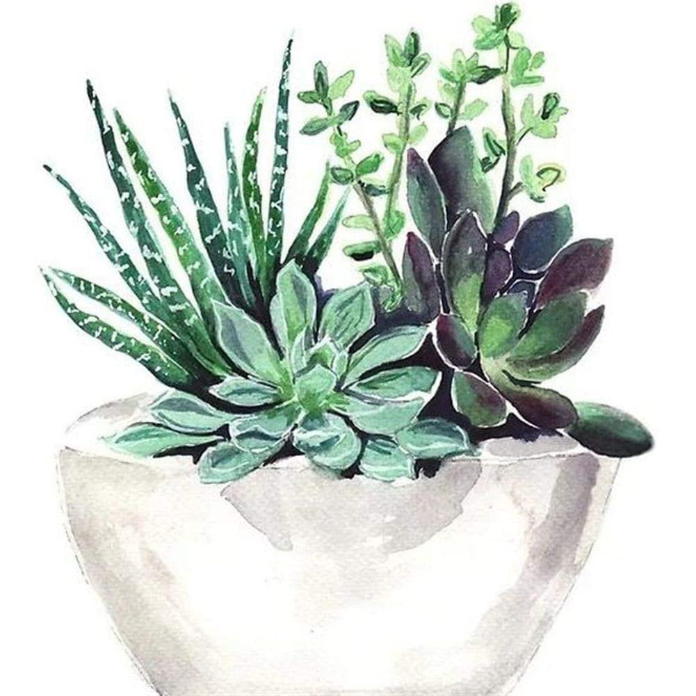 Diamond Painting - Full Round - Succulent
