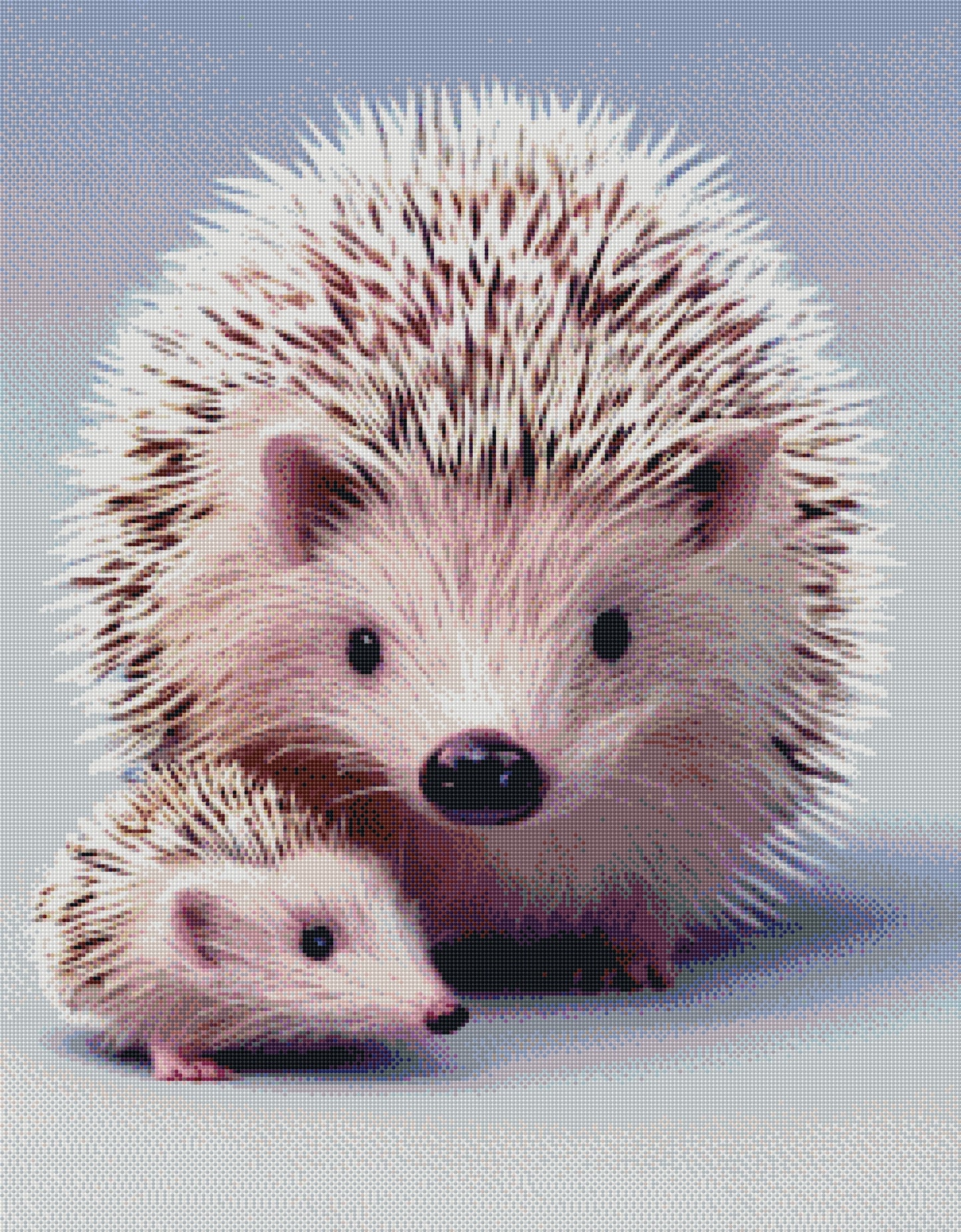 Full Round/Square Diamond Painting Kits | Hedgehog 50x70cm 60x80cm B