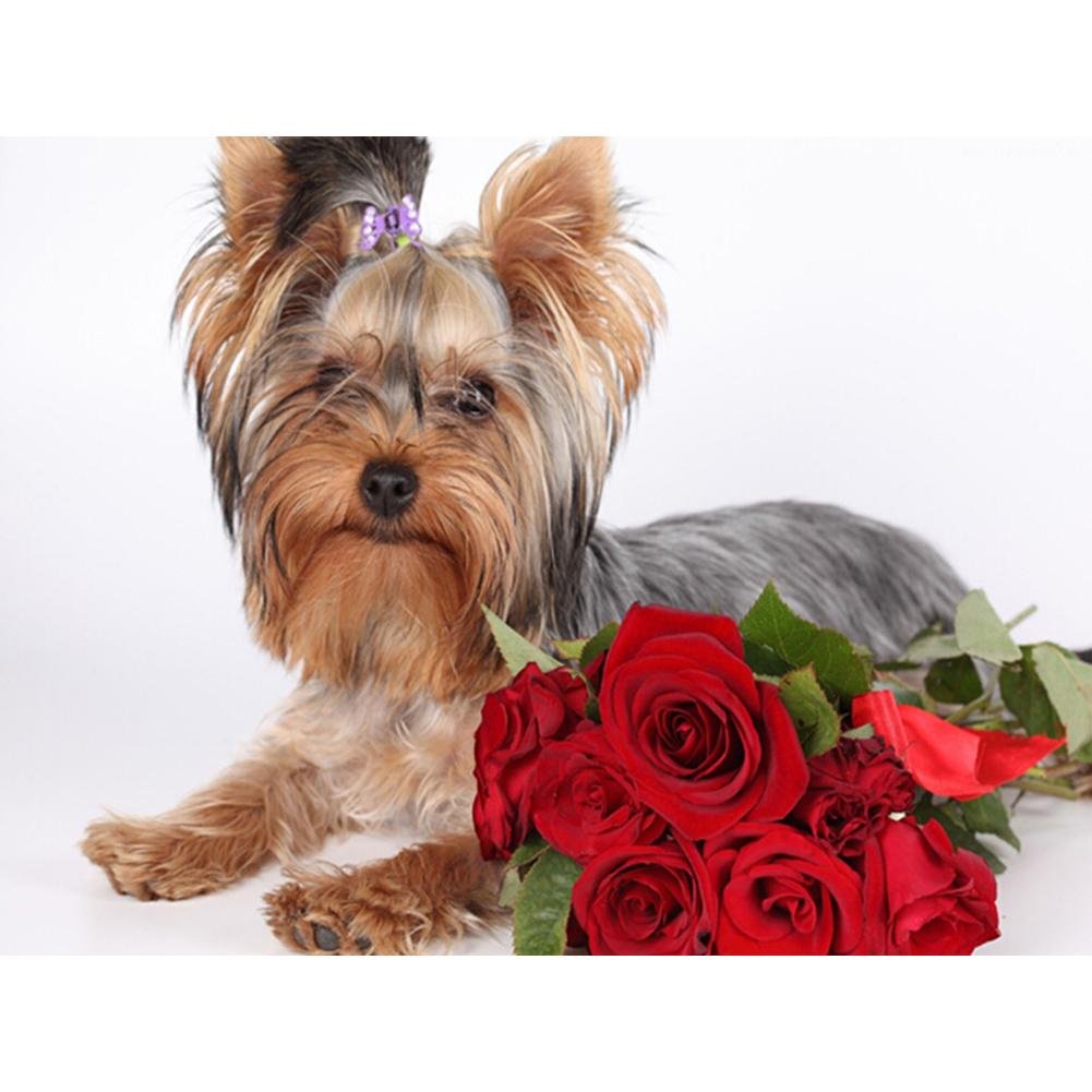 Diamond Painting Partial Round Dog