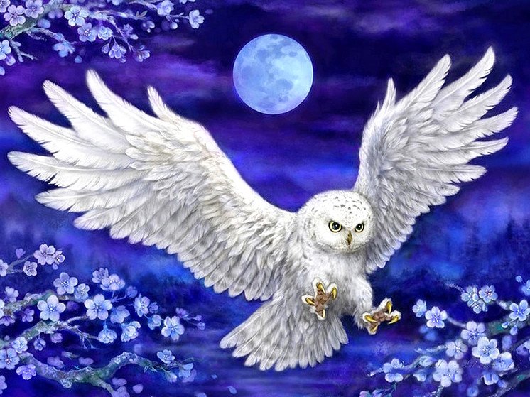 5D Diy Diamond Painting Kit Full Round Beads Flying Owl
