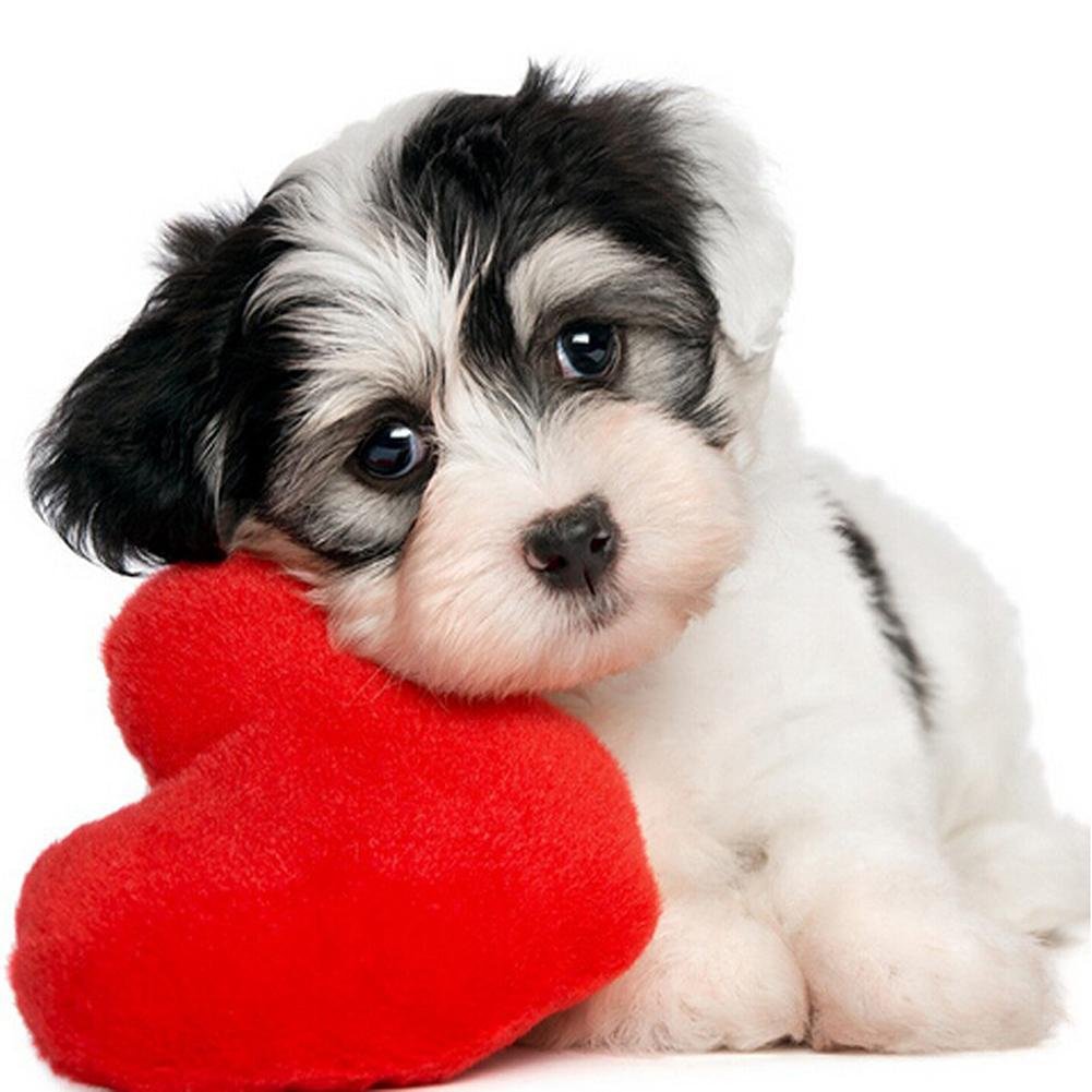 Diamond Painting - Partial Round - Love Dog