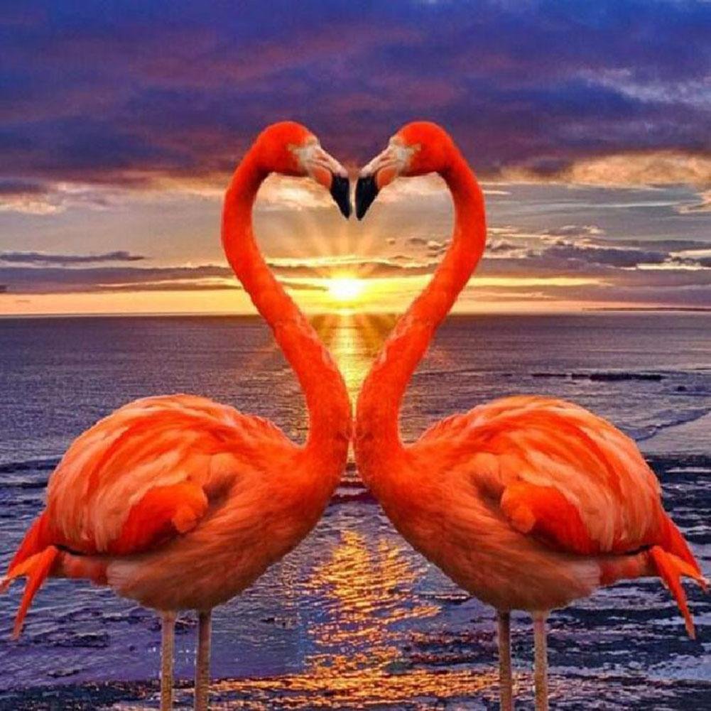 5D Diy Diamond Painting Kit Full Round Beads Flamingos