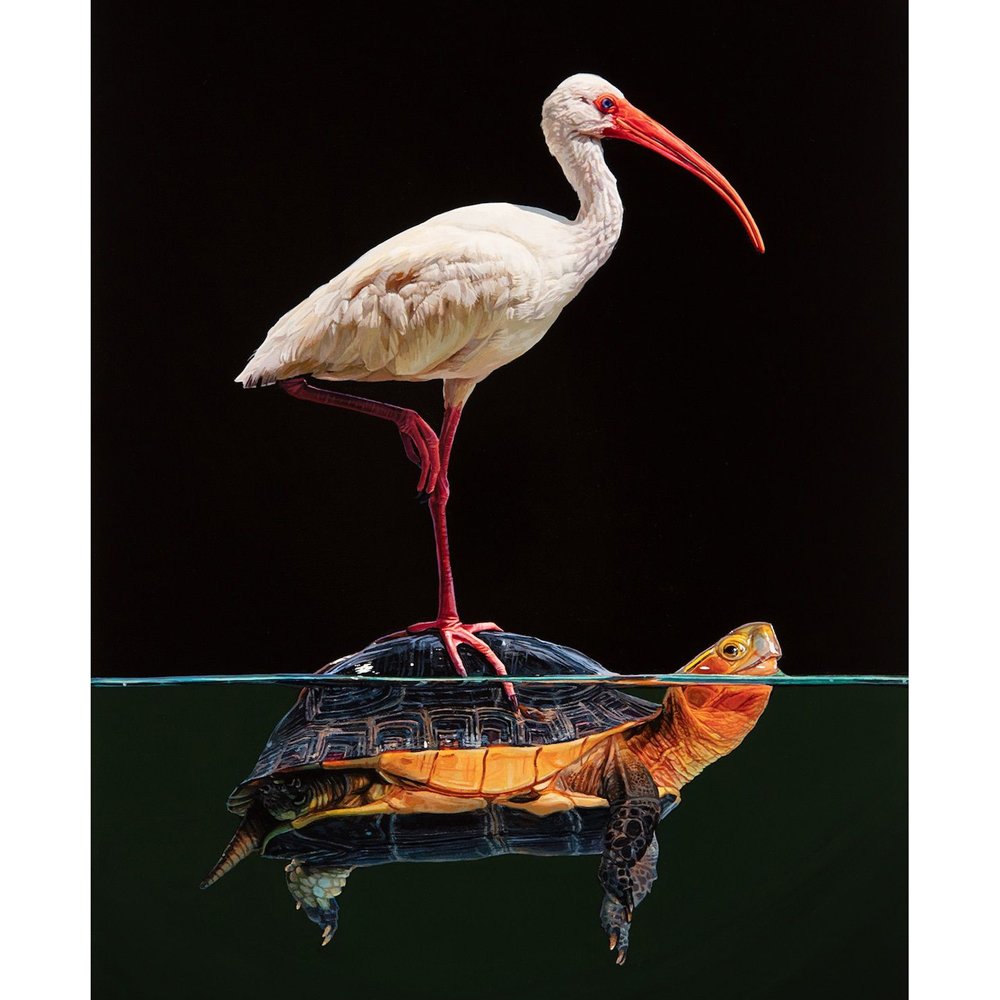 Diamond Paintings Art Full Drill Animal & Plants