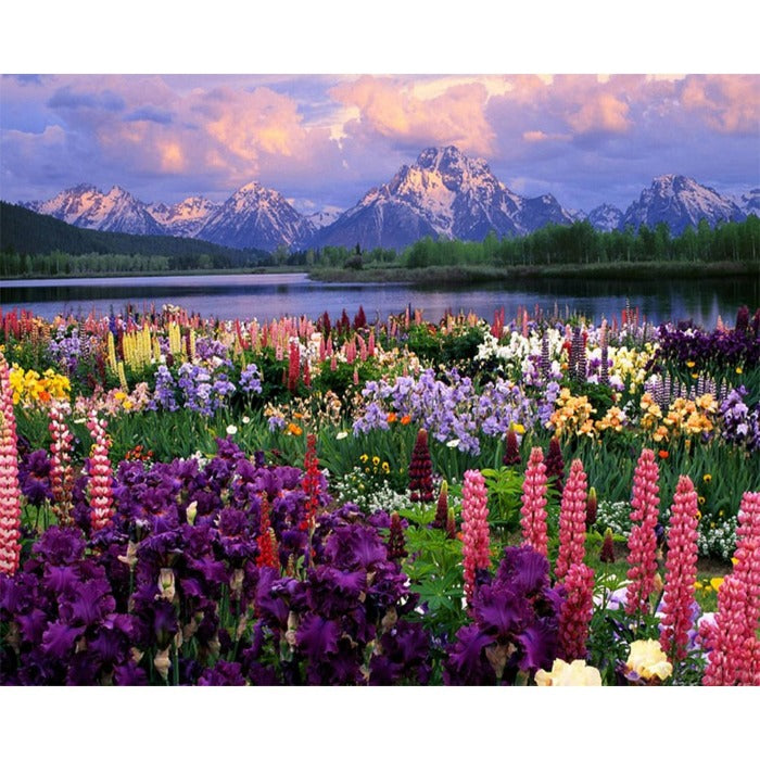 Flower Cluster Plant Oil Painting By Numbers DIY Canvas Coloring Picture