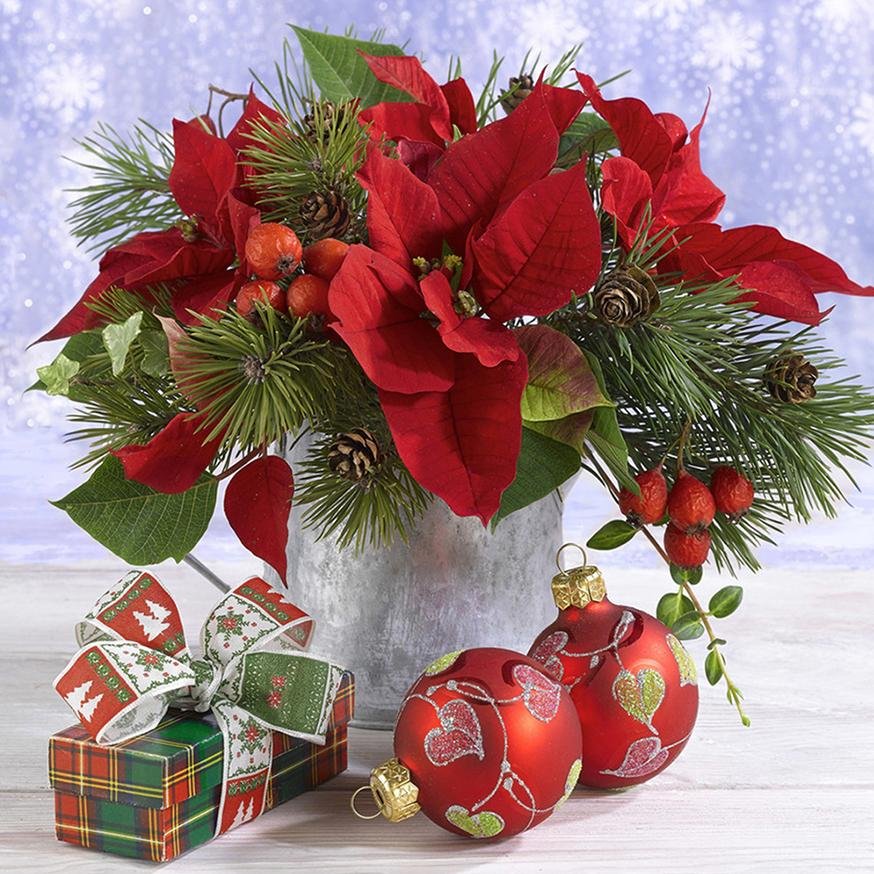 Diamond Painting - Full Round - Red Plant