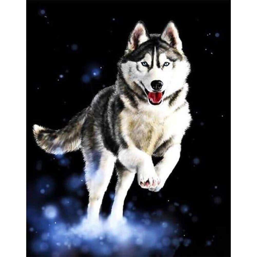 Paint By Number Oil Painting Wolf (40*50cm)