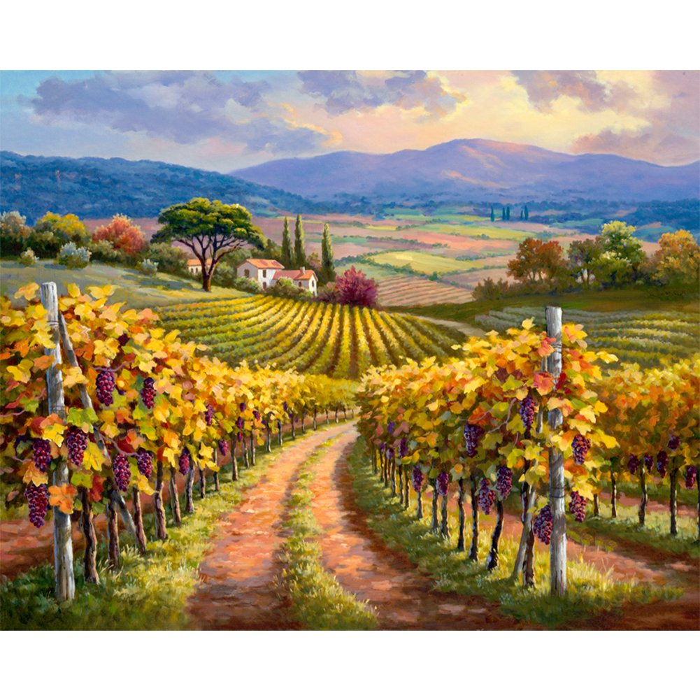 11ct Stamped Cross Stitch Field Grape Rack( 50*40cm)