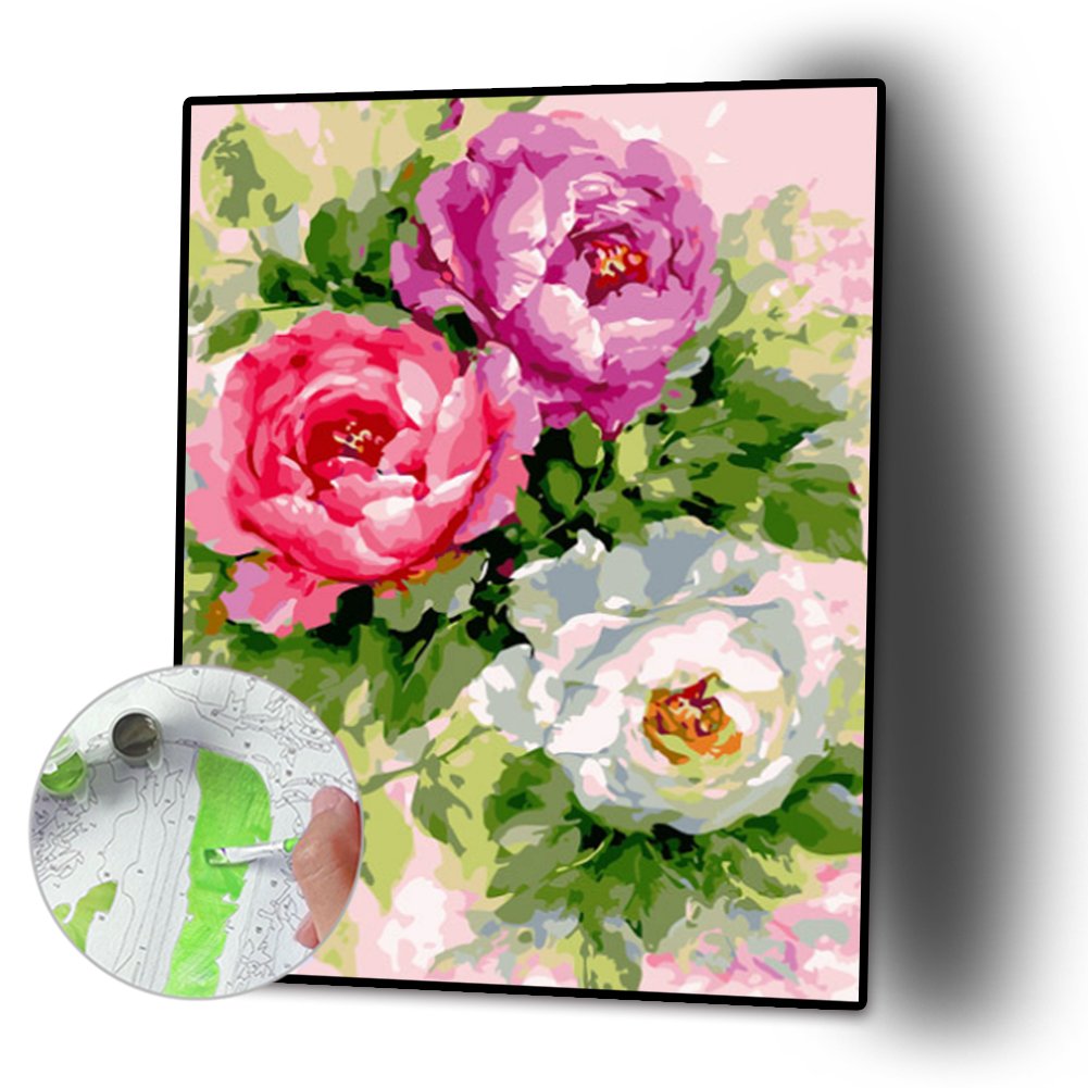 Paint By Number - Oil Painting - Three Flowers (40*50cm)